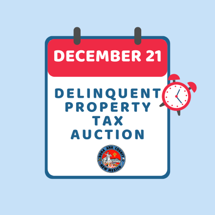 Property tax auction