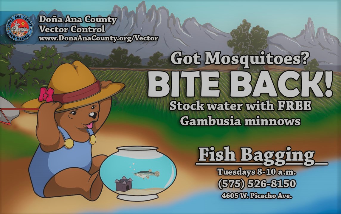 Got Mosquitos? Bite Back! Stock water with FREE Gambusia minnows